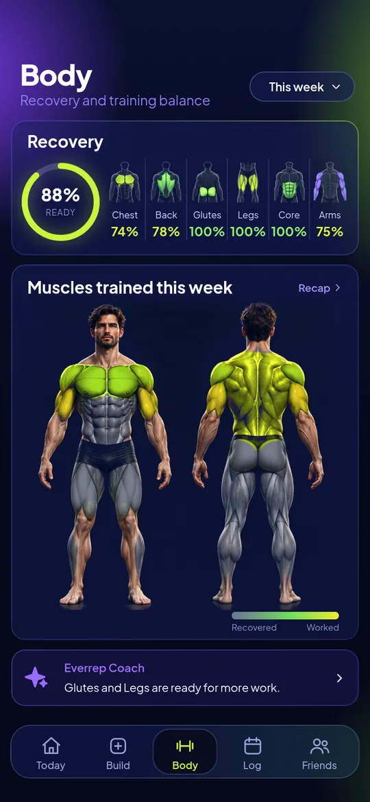 Muscle map showing the muscles trained this week and recovery